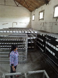 武漢安德裝飾材料廠攜手阿土伯網，開啟建筑裝飾材料熱賣促銷盛宴